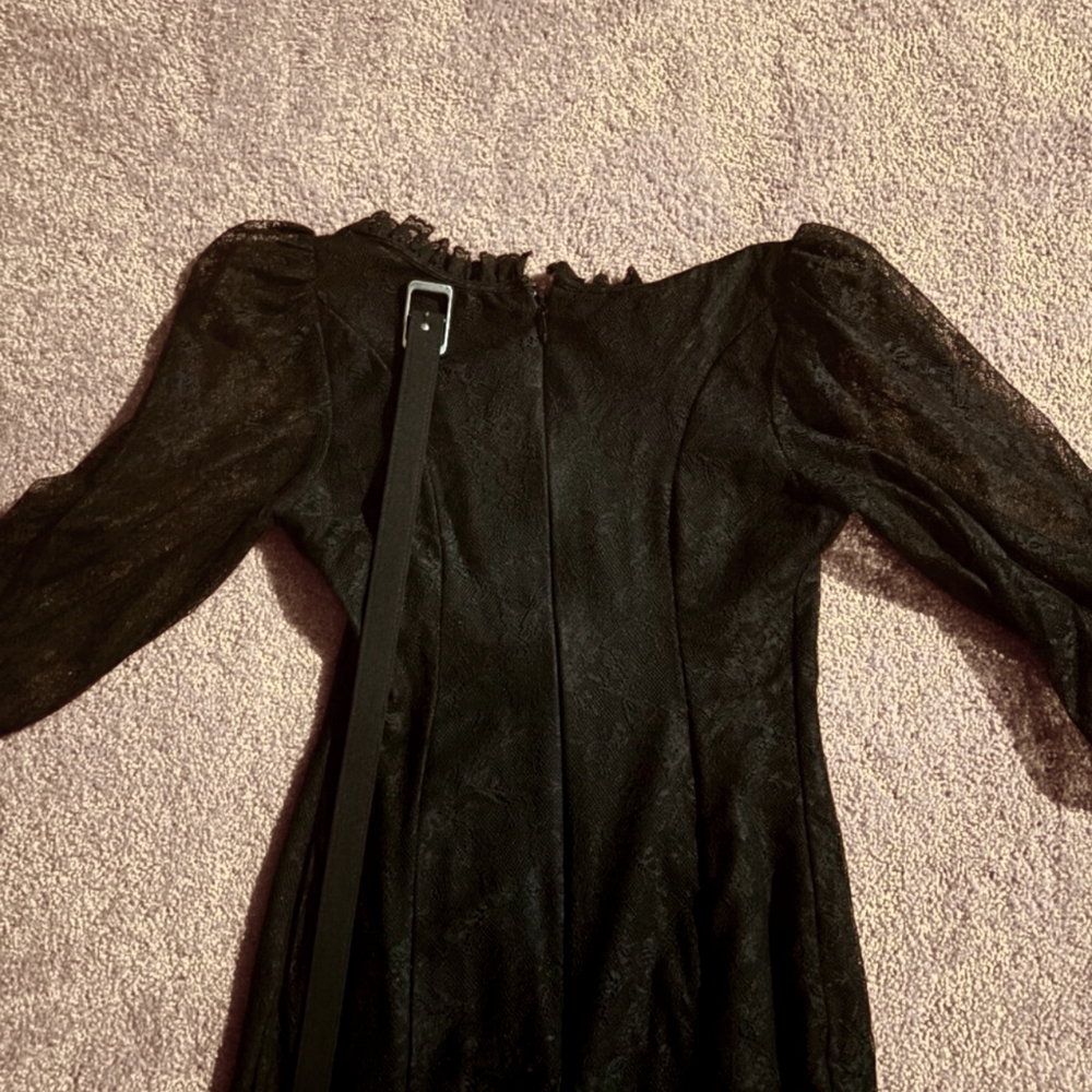 Vixen by Micheline Pitt Decadence Wiggle in Black Lace, Size Large with belt GUC - Picture 5 of 5